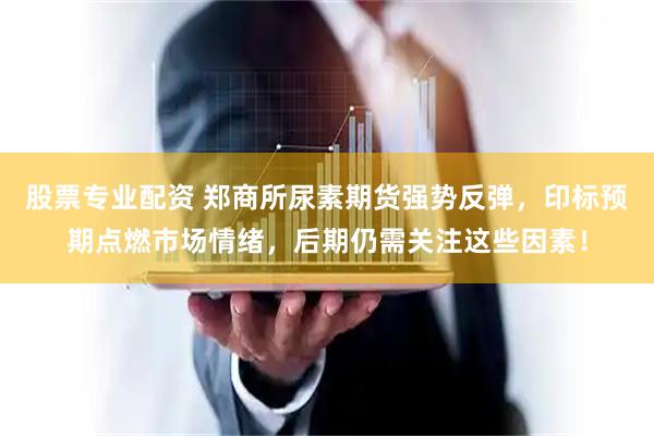 股票专业配资 郑商所尿素期货强势反弹，印标预期点燃市场情绪，后期仍需关注这些因素！