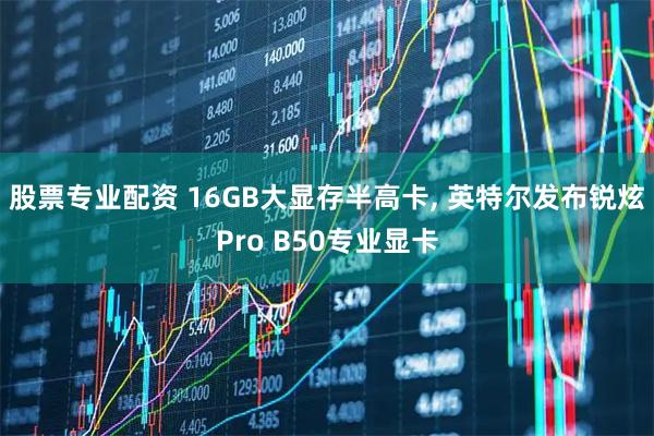 股票专业配资 16GB大显存半高卡, 英特尔发布锐炫Pro B50专业显卡