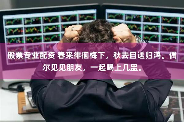 股票专业配资 春来徘徊梅下，秋去目送归鸿。偶尔见见朋友，一起喝上几盅。
