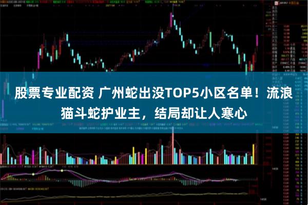 股票专业配资 广州蛇出没TOP5小区名单！流浪猫斗蛇护业主，结局却让人寒心