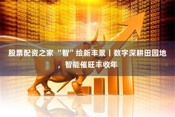 股票配资之家 “智”绘新丰景丨数字深耕田园地，智能催旺丰收年