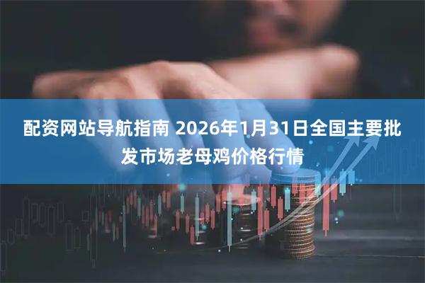 配资网站导航指南 2026年1月31日全国主要批发市场老母鸡价格行情