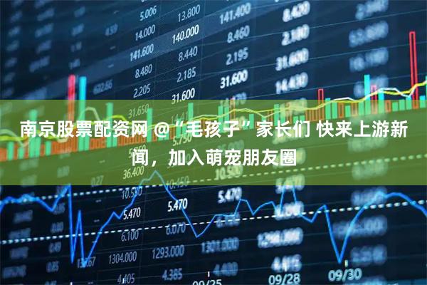 南京股票配资网 @“毛孩子”家长们 快来上游新闻，加入萌宠朋友圈